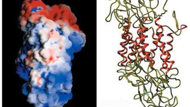 Dopamine transporter | Wikipedia audio article смотреть онлайн