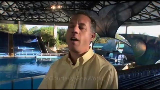 Sea World (believe) Documentary