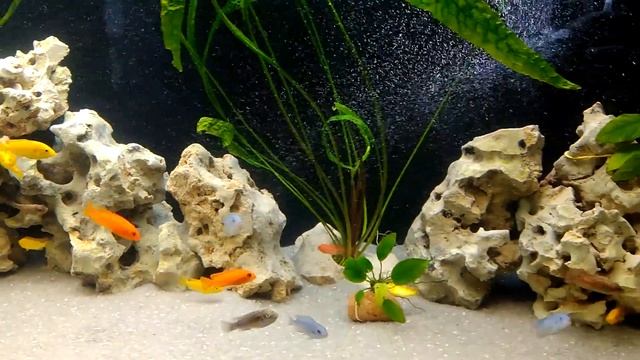 aquas 5 смотреть онлайн