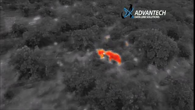 Drone Thermal Camera Elephant Detection смотреть онлайн