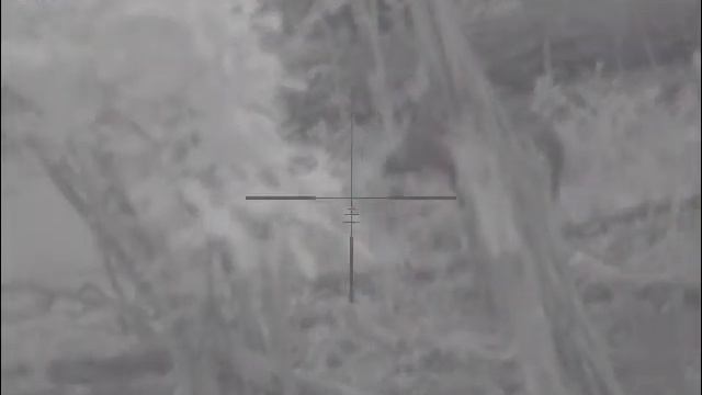Охота на кобана с вышки!!! смотреть онлайн