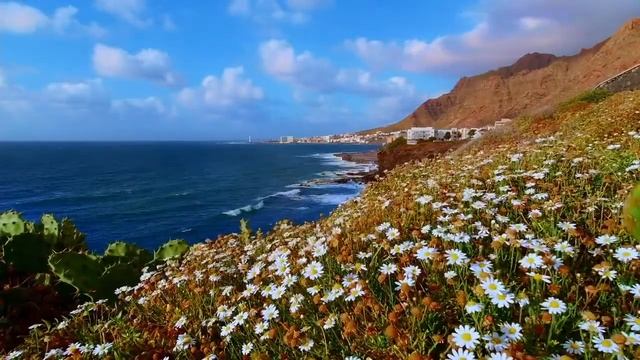 Jazz Music Summer Time Music Restaurant Music Instrumental Ambient Vibe Relax Happy Jazz Bosa Nova смотреть онлайн