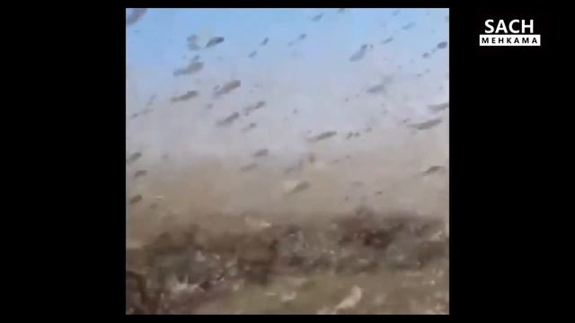 UNBELIEVABLE MOMENTS CAUGHT ON CAMERA || RARE MOMENTS TO SEE || TRUE SHIT смотреть онлайн