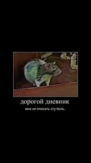 Дорогой дневник.. мне не описать эту боль.. смотреть онлайн