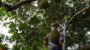 ▽ Удивительные растения планеты Земля