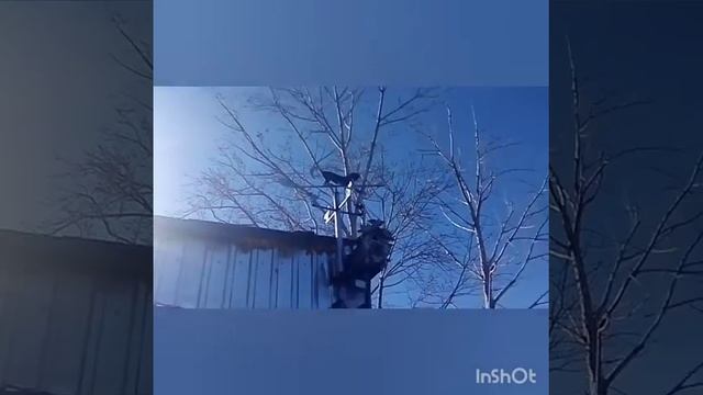 Самодельный флюгер смотреть онлайн