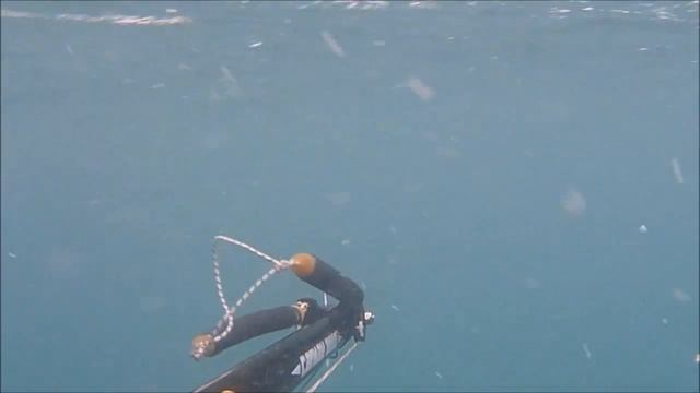 Barracuda 5 kg смотреть онлайн