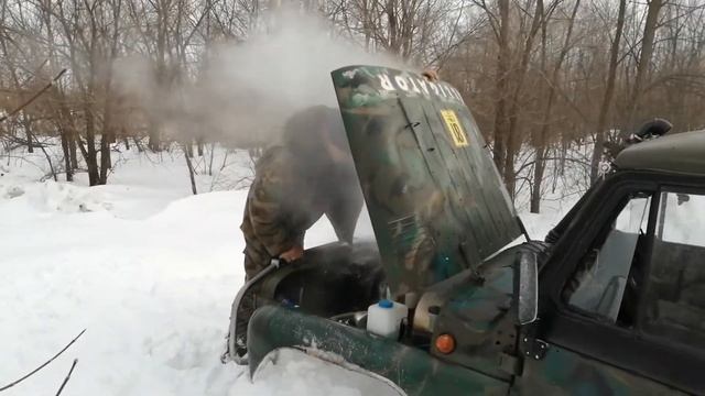 Alligator. Снежный удар.