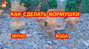 Кормушка и поилка из бутылок для цыплят и молодок  🐤🐥🐤