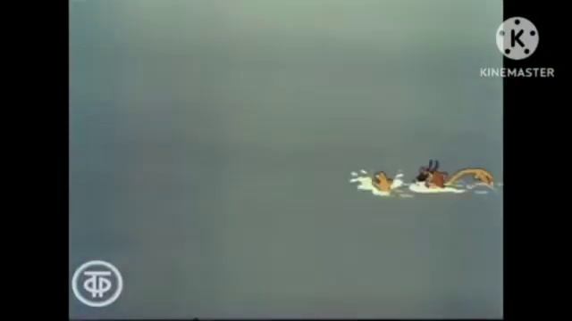 Акула Плывет На Котам For 10 Hours (Fixed) смотреть онлайн