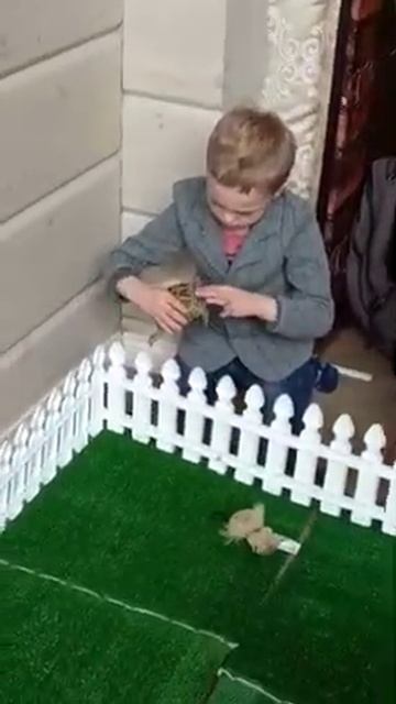 Зоопарк черепашек на праздникI8(916)702-11-08 Москва смотреть онлайн