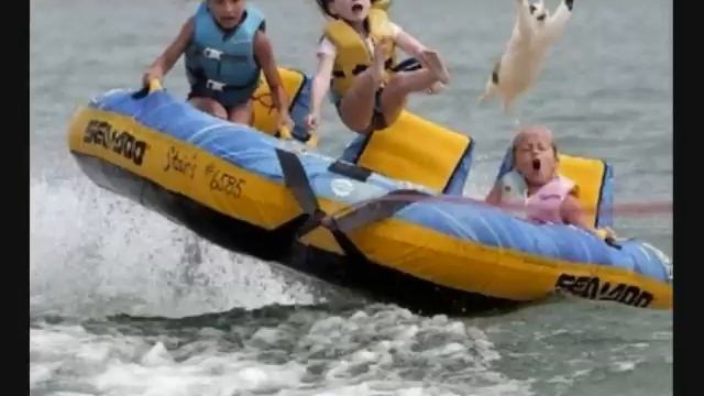 Koala Bear Attacks Baby Kangaroo смотреть онлайн