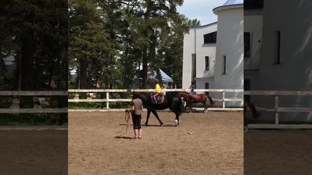Занятие по верховой езде смотреть онлайн