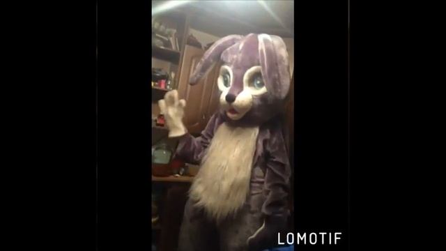 Заяц смотреть онлайн