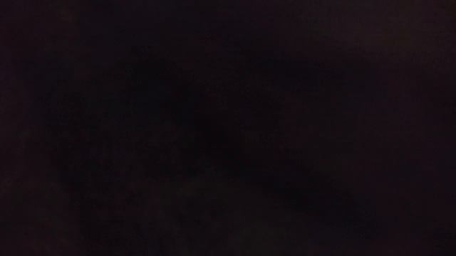 Как живёт мой кот? смотреть онлайн