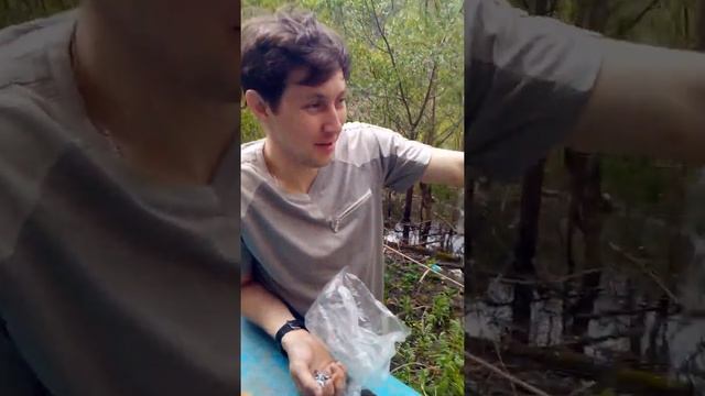 Проводули 2019 смотреть онлайн