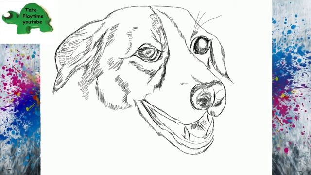 How to draw Labrador Retriever Dog 画狗 Melukis Anjing कुत्ता खींचें Hund zeichnen рисовать собаку смотреть онлайн
