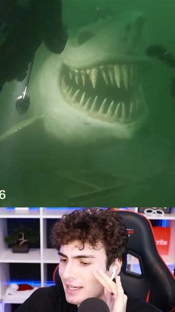 THE WORLD'S BIGGEST SHARK.. #Shorts смотреть онлайн