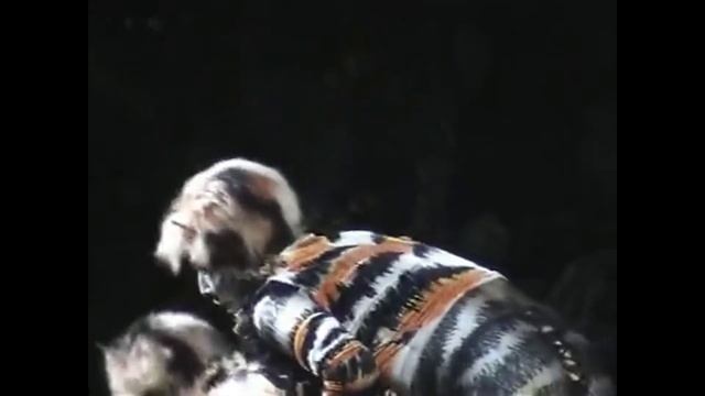 Mungogerrie & Rumpleteazer CATS Moscow 2005 смотреть онлайн