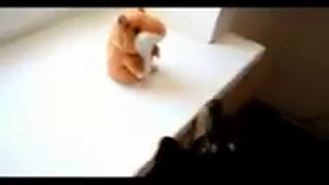 Собаки не новидят говорящих хомяков!!! смотреть онлайн