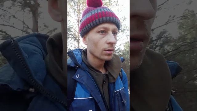 Где Лоси сбрасывают свои рога смотреть онлайн