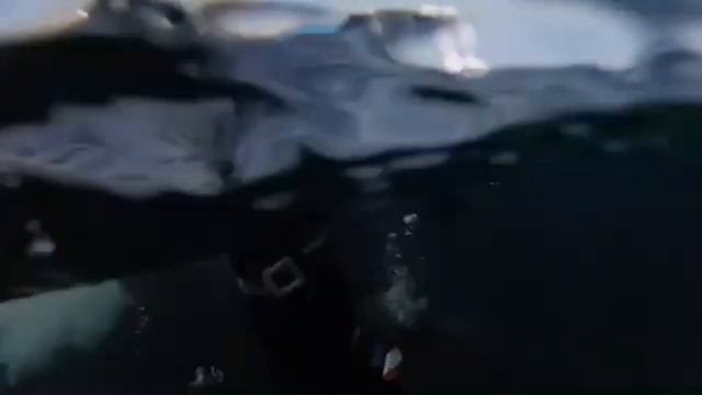День Очистки водоемов по системе Сибайк смотреть онлайн