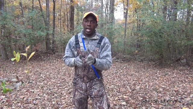 How To Build A Good Beagle Pack (Benson's Kennel) смотреть онлайн