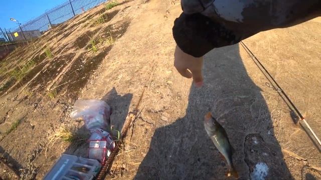 Рыбалка на рассвете смотреть онлайн