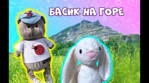 БАСИК ГУЛЯЕТ НА ГОРЕ / ЗАЯЦ ПОЛУЧИЛ СОЛНЕЧНЫЙ УДАР /ПЕРЕДАЕМ ПРИВЕТЫ