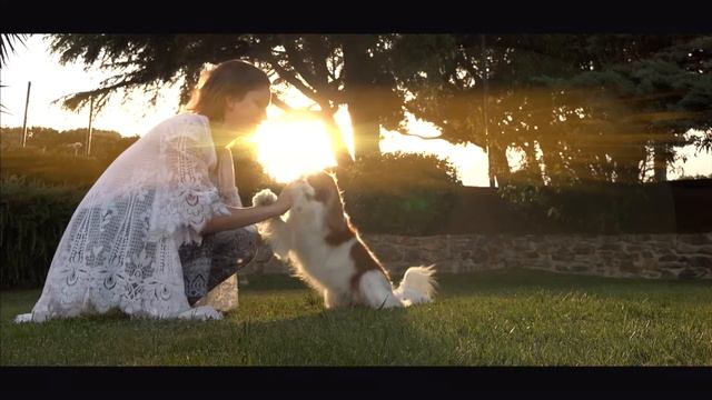 Hidratante Shampo 250 ML смотреть онлайн