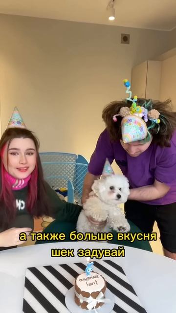 С ДНЁМ РОЖДЕНИЯ, БАМБУЛЬ! #ytshorts #shorts смотреть онлайн