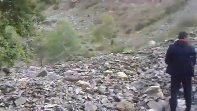 Терек сай жер кочку смотреть онлайн