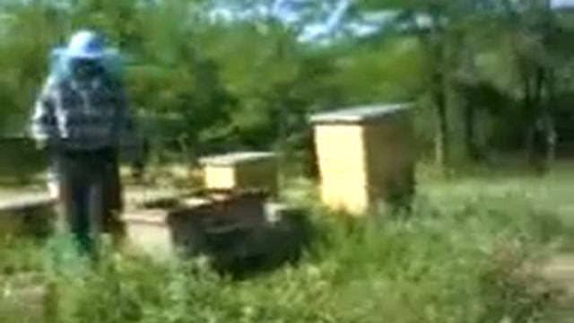 улик без матки смотреть онлайн