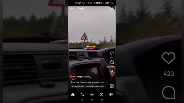 Медведь на Сахалине смотреть онлайн
