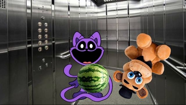 пов: типичный сон кэт нэпа смотреть онлайн