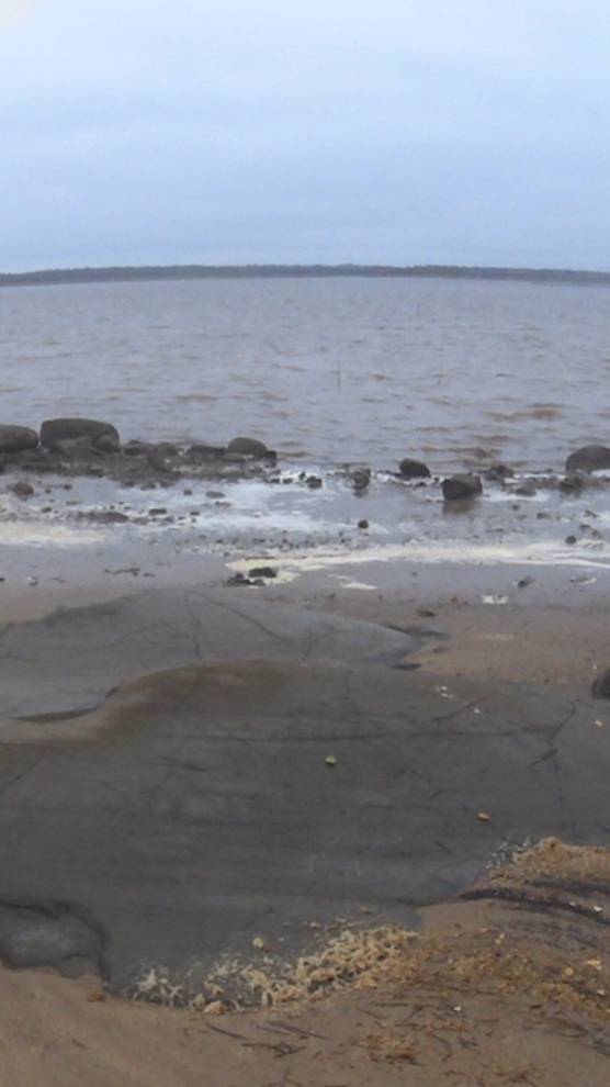 Выловил её ночью.Здоровую рыбу лепёху!Смотрите. #Shorts смотреть онлайн