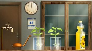 Дыхание корней