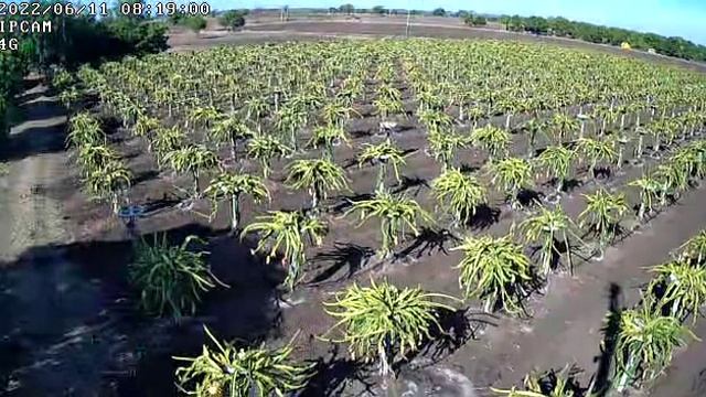 TRUEVIEW 3MP 4G SOLAR PTZ CAMERA смотреть онлайн