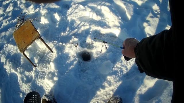 Ротан на деревенском пруду. смотреть онлайн