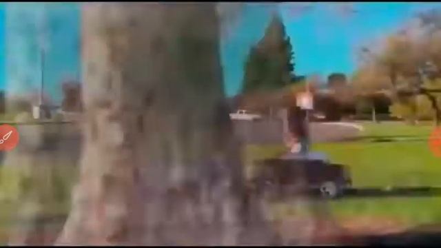 Ох эти коты дают жару. Ваще РЖАКА😂😂 смотреть онлайн