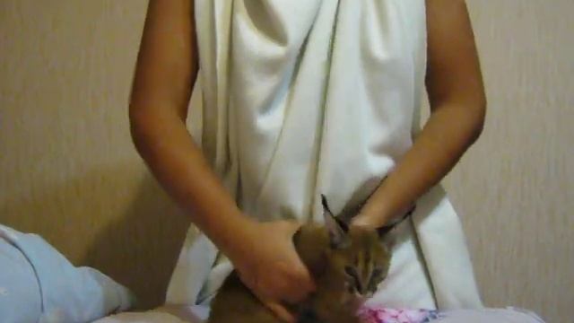 Марго танцует смотреть онлайн