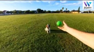 insta360 GO 3 (128GB) - Small & Lightweight Action Camera, Portable and Versatile #insta360go3