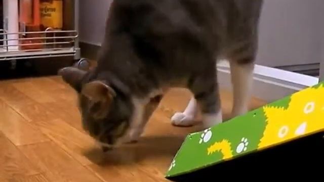 AIR SAND -кот наполняет песок воздухом )) смотреть онлайн