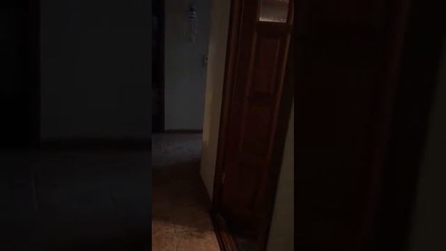 Истерика из-за таблицы умножения смотреть онлайн