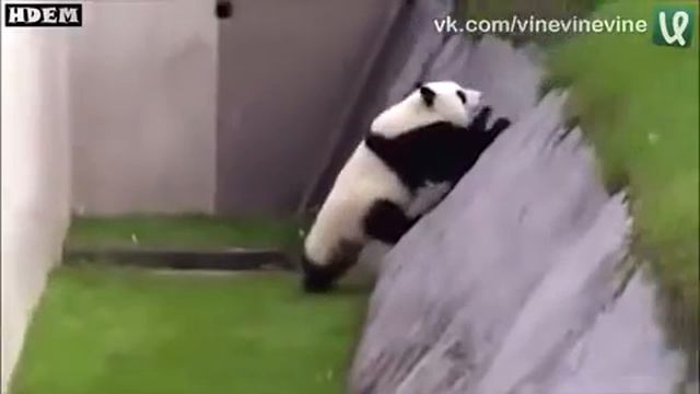 У каждого есть такой друг) смотреть онлайн