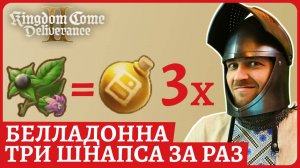 Где найти Белладонну, как сварить 3 шт. сильного шнапса. И бонус. Kingdom Come: Deliverance II