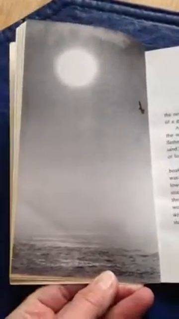 Jonathan Livingston Seagull смотреть онлайн