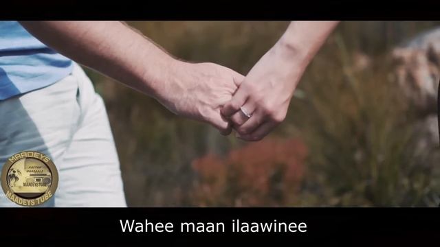 HEES | Ha Warwarin | Cabdi Xasan Dige | Original + lyrics смотреть онлайн