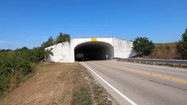 Tunnel Love sounds of automotive brilliance Exotics Muscles Classics смотреть онлайн
