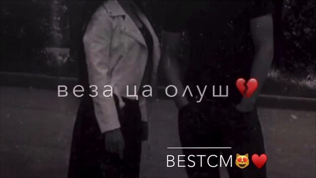 Сай Безам,Сай Ойла Ас Хьоьх Тешина